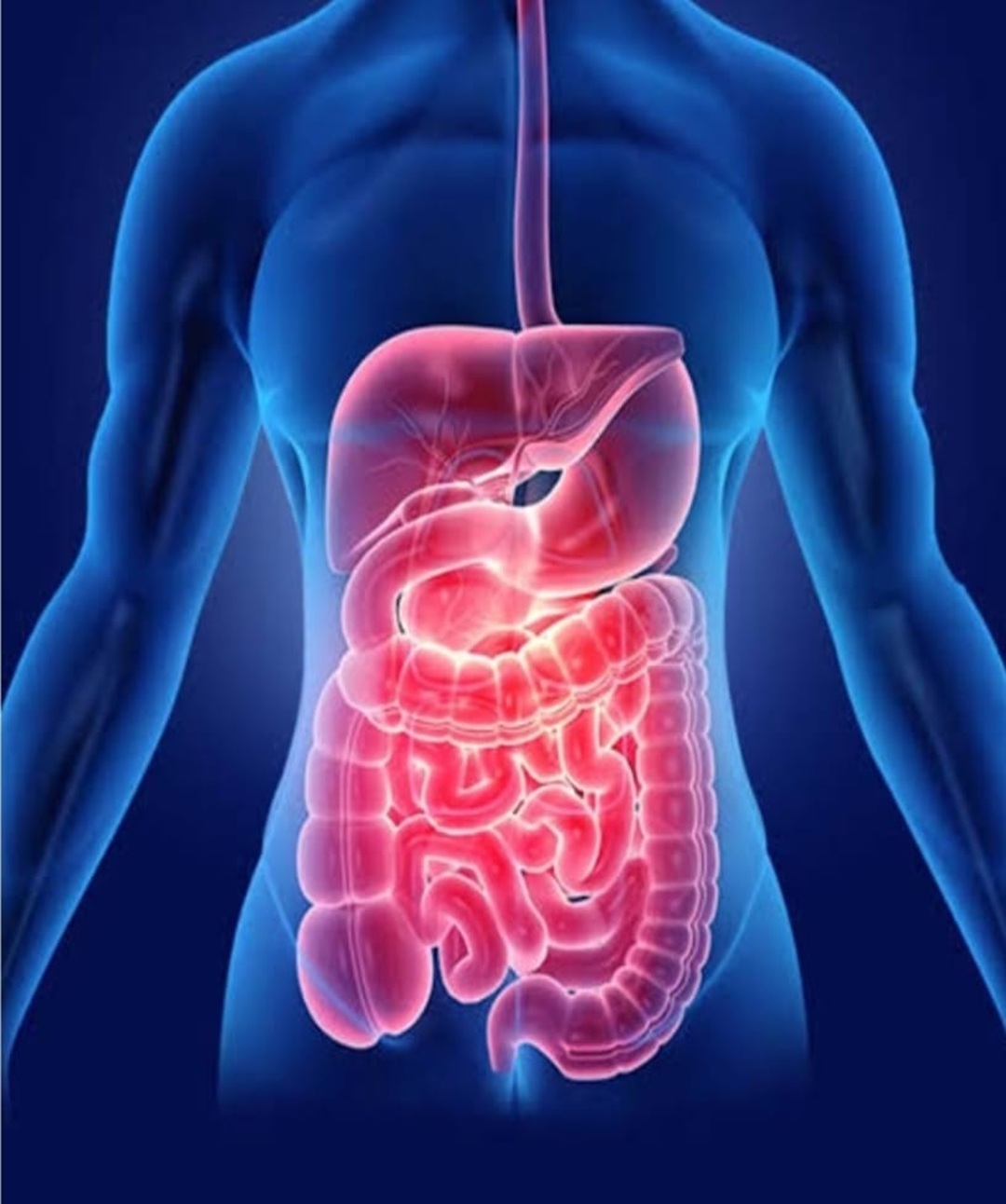 Gastro Intestinal